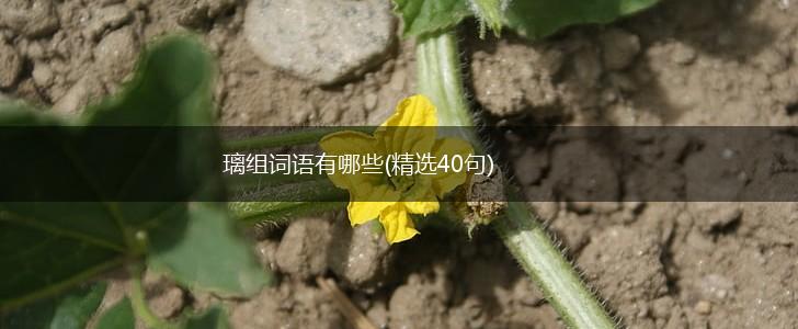 璃组词语有哪些(精选40句),第1张