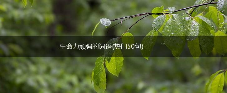 生命力顽强的词语(热门50句),第1张 生命力顽强的词语(热门50句),第1张
