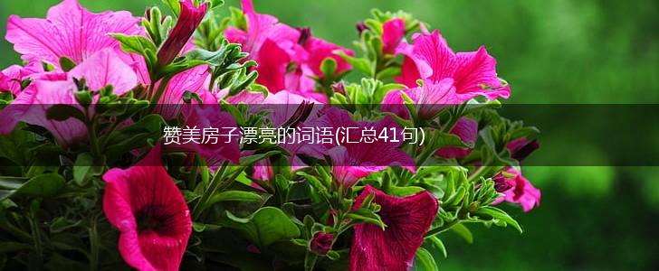 赞美房子漂亮的词语(汇总41句),第1张