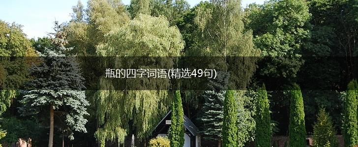 瓶的四字词语(精选49句),第1张