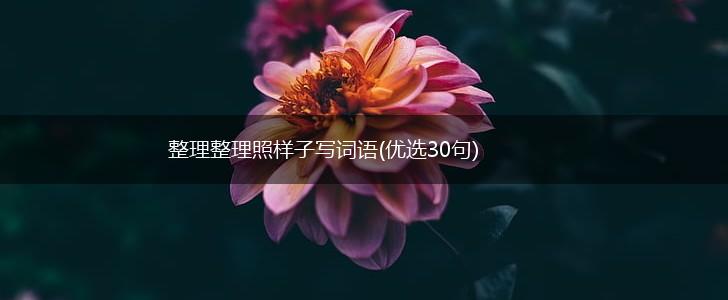 整理整理照样子写词语(优选30句),第1张 整理整理照样子写词语(优选30句),第1张