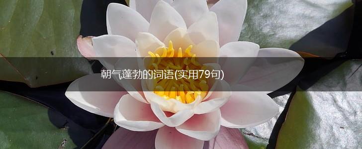 朝气蓬勃的词语(实用79句),第1张