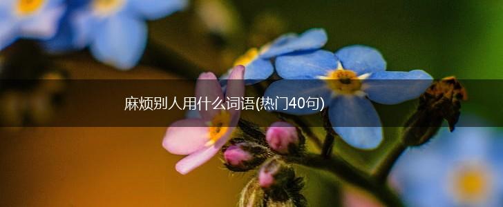 麻烦别人用什么词语(热门40句),第1张