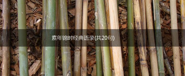 素年锦时经典语录(共20句),第1张