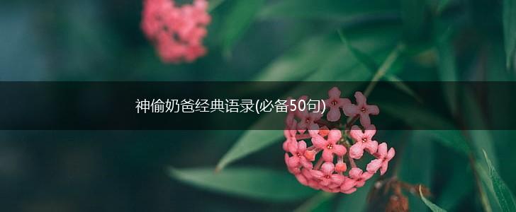 神偷奶爸经典语录(必备50句),第1张