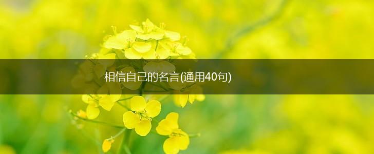 相信自己的名言(通用40句),第1张