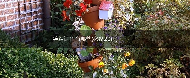 镜组词语有哪些(必备20句),第1张