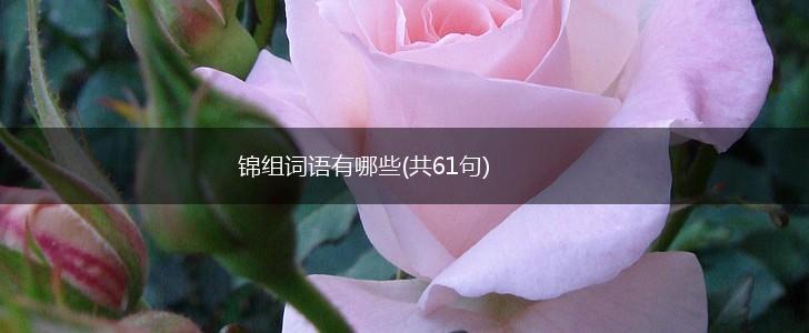 锦组词语有哪些(共61句),第1张