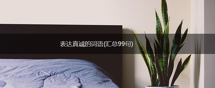 表达真诚的词语(汇总99句),第1张