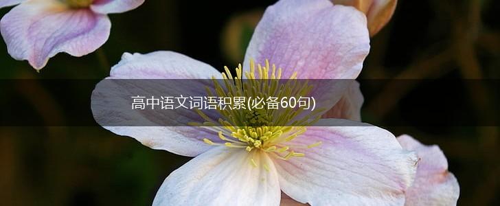 高中语文词语积累(必备60句),第1张