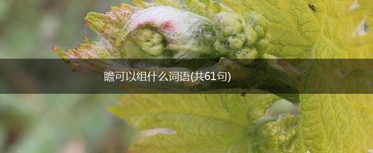 瞻可以组什么词语(共61句),第1张 瞻可以组什么词语(共61句),第1张