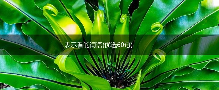 表示看的词语(优选60句),第1张