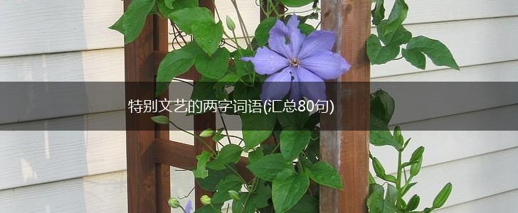 特别文艺的两字词语(汇总80句),第1张