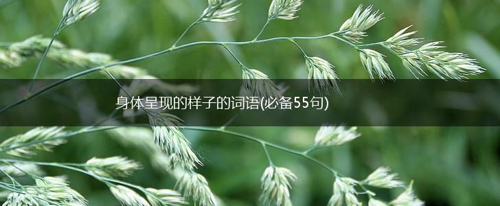 身体呈现的样子的词语(必备55句),第1张