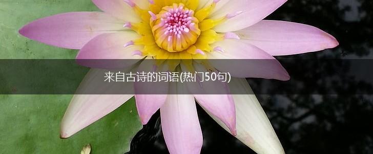来自古诗的词语(热门50句),第1张
