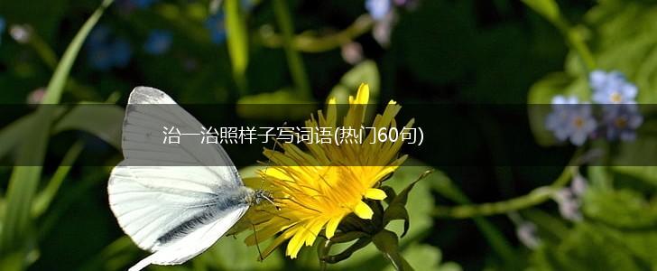 治一治照样子写词语(热门60句),第1张