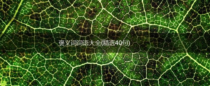 褒义词词语大全(精选40句),第1张