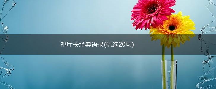 祁厅长经典语录(优选20句),第1张