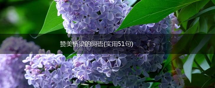 赞美桥梁的词语(实用51句),第1张