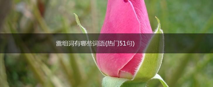 雷组词有哪些词语(热门51句),第1张