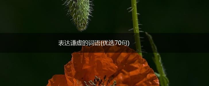 表达谦虚的词语(优选70句),第1张