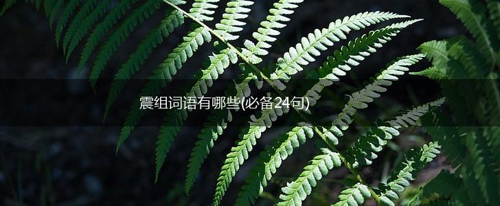 震组词语有哪些(必备24句),第1张