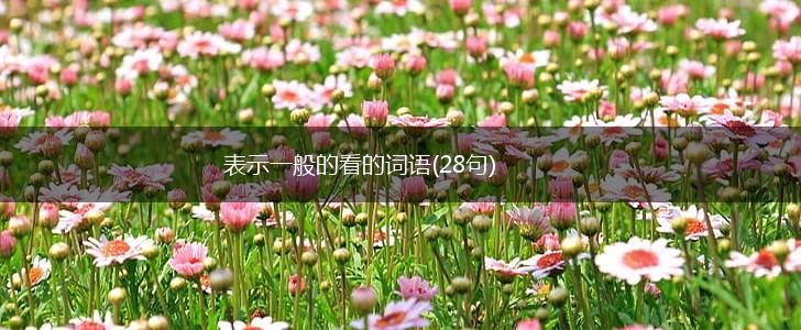 表示一般的看的词语(28句),第1张