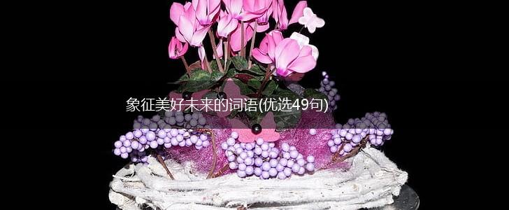 象征美好未来的词语(优选49句),第1张