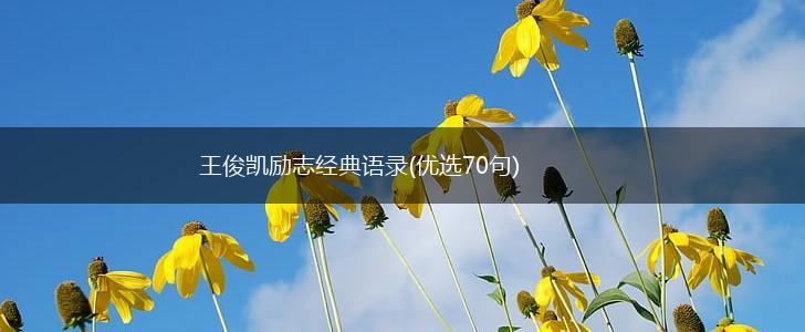 王俊凯励志经典语录(优选70句),第1张