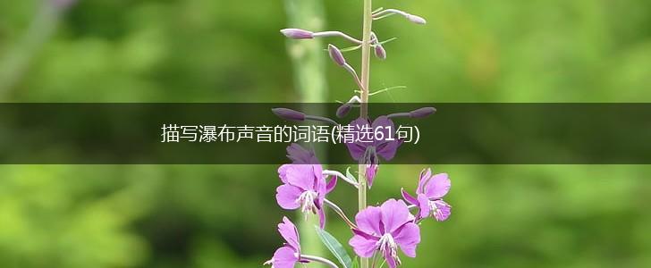 描写瀑布声音的词语(精选61句),第1张