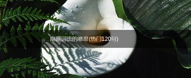 隐藏词语的意思(热门120句),第1张