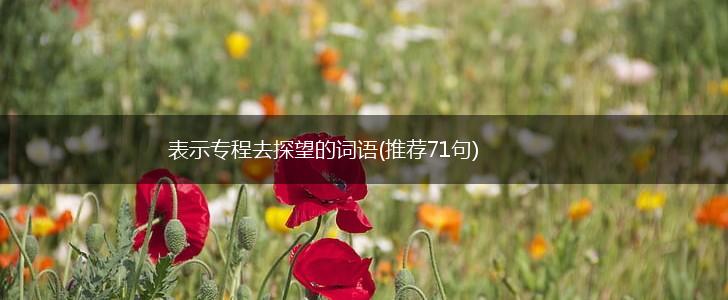 表示专程去探望的词语(推荐71句),第1张 表示专程去探望的词语(推荐71句),第1张