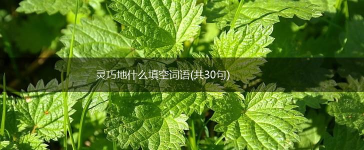 灵巧地什么填空词语(共30句),第1张