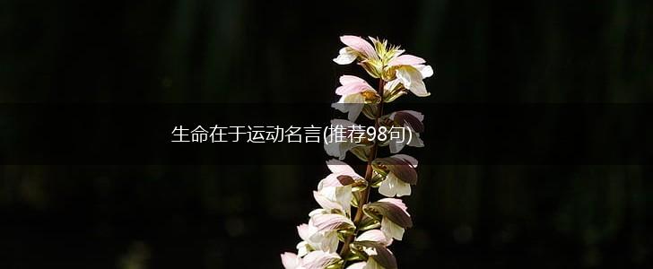 生命在于运动名言(推荐98句),第1张