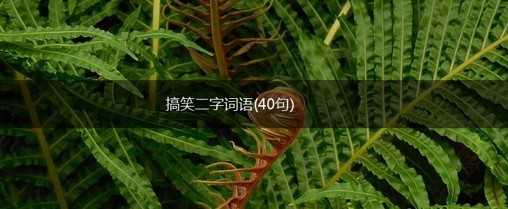 搞笑二字词语(40句),第1张