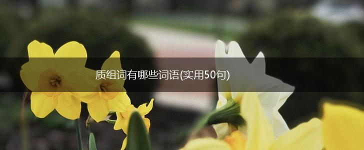 质组词有哪些词语(实用50句),第1张