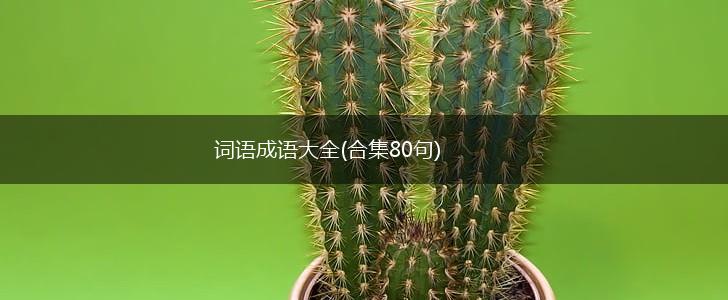 词语成语大全(合集80句),第1张