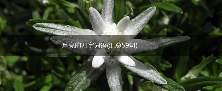 月亮的四字词语(汇总59句),第1张