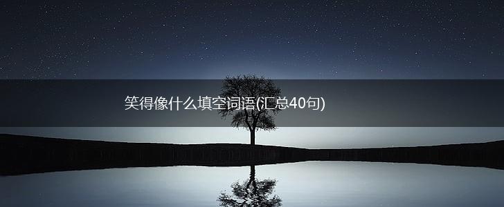 笑得像什么填空词语(汇总40句),第1张