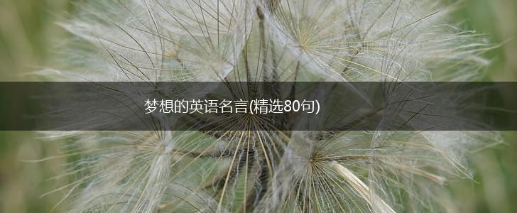 梦想的英语名言(精选80句),第1张