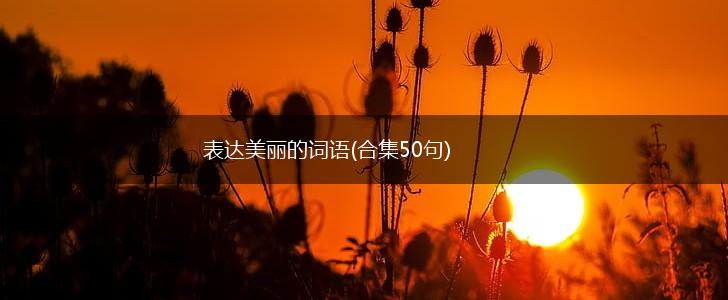 表达美丽的词语(合集50句),第1张 表达美丽的词语(合集50句),第1张