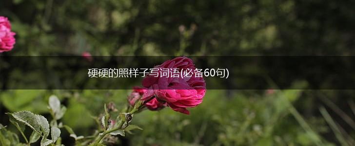 硬硬的照样子写词语(必备60句),第1张