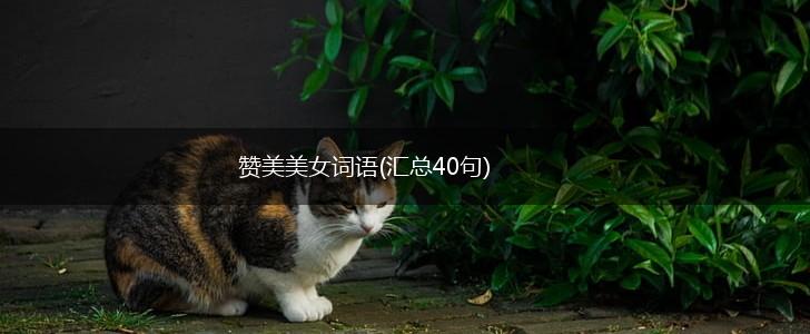 赞美美女词语(汇总40句),第1张