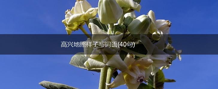 高兴地照样子写词语(40句),第1张