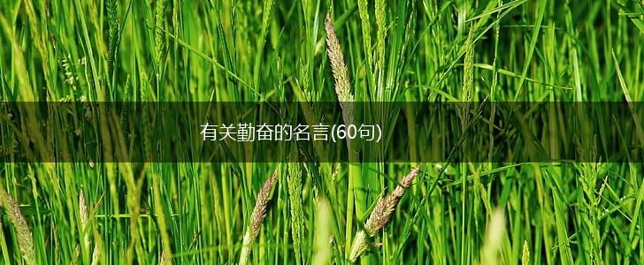 有关勤奋的名言(60句),第1张