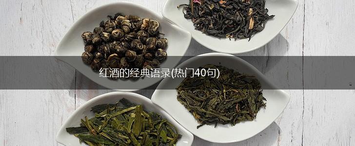 红酒的经典语录(热门40句),第1张
