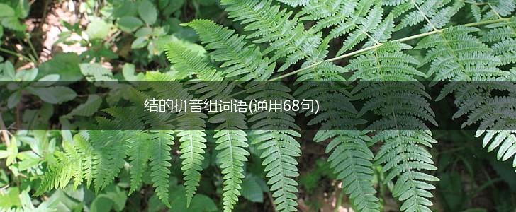 结的拼音组词语(通用68句),第1张