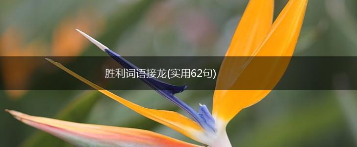 胜利词语接龙(实用62句),第1张