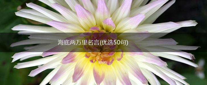 海底两万里名言(优选50句),第1张 海底两万里名言(优选50句),第1张