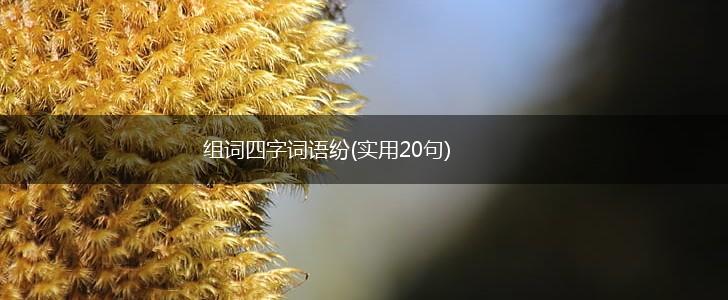 组词四字词语纷(实用20句),第1张